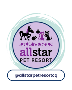 All Star
